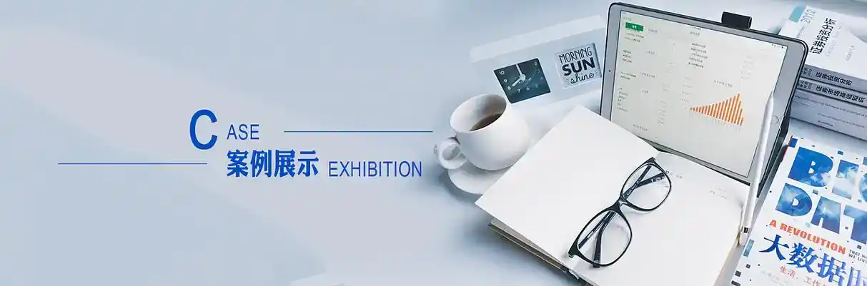 远安县软件开发